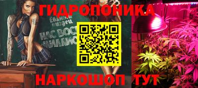 прущие грибы Донецк