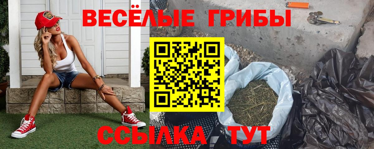 Нефтеюганск  Псилоцибиновые грибы мухоморы  продажа наркотиков  Вход с VPN 